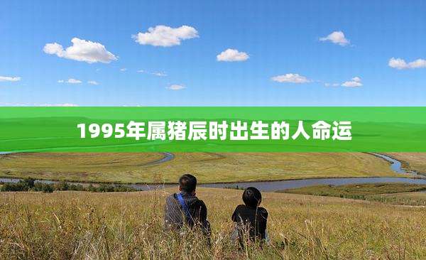 1995年属猪辰时出生的人命运