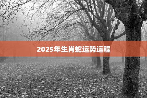 2025年生肖蛇运势运程