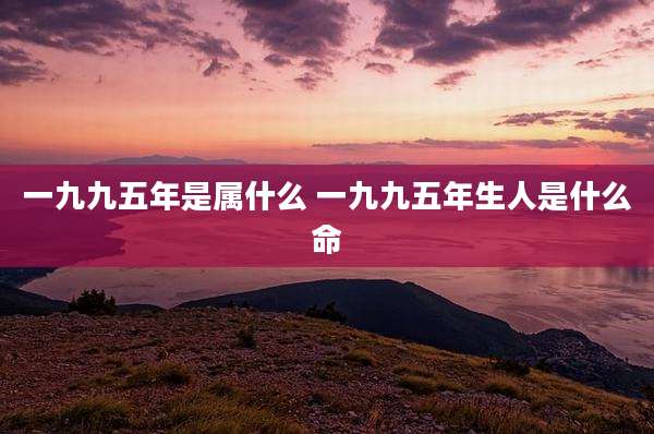 一九九五年是属什么 一九九五年生人是什么命