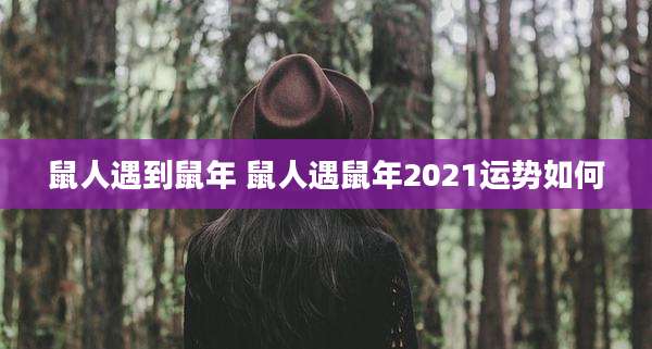 鼠人遇到鼠年 鼠人遇鼠年2021运势如何