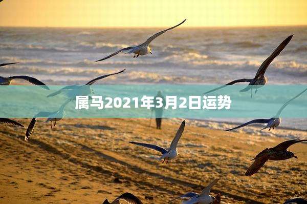 属马2021年3月2日运势