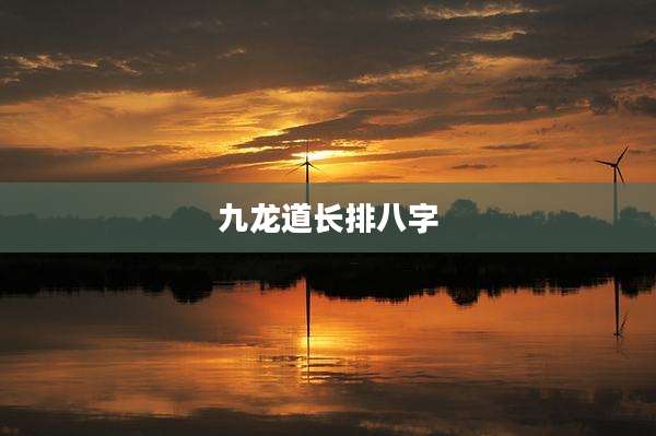 九龙道长排八字