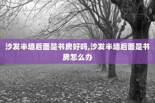 沙发半墙后面是书房好吗,沙发半墙后面是书房怎么办