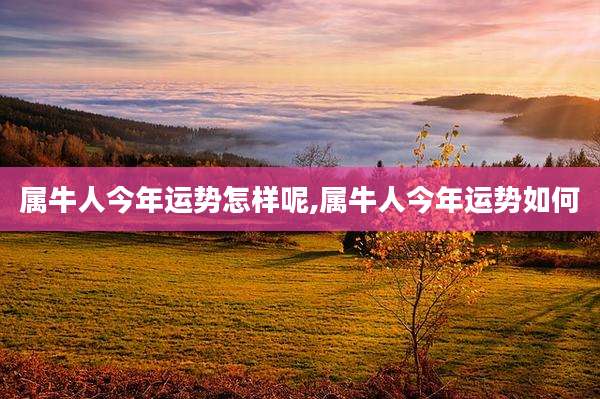 属牛人今年运势怎样呢,属牛人今年运势如何