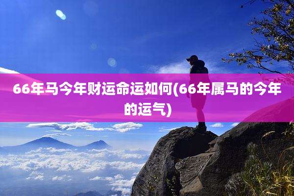 66年马今年财运命运如何(66年属马的今年的运气)