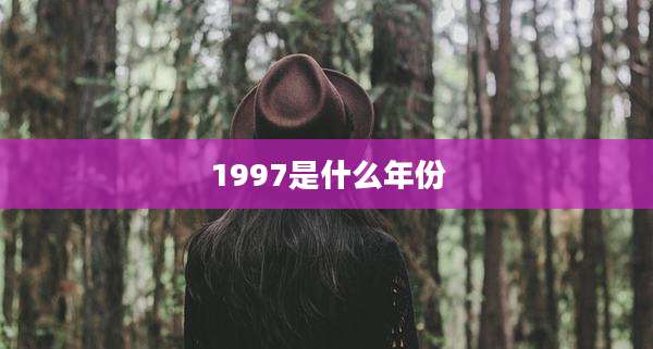 1997是什么年份