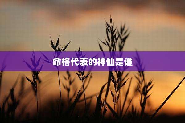 命格代表的神仙是谁