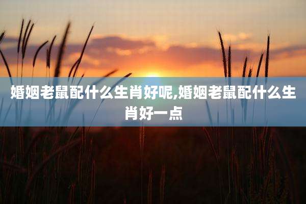 婚姻老鼠配什么生肖好呢,婚姻老鼠配什么生肖好一点