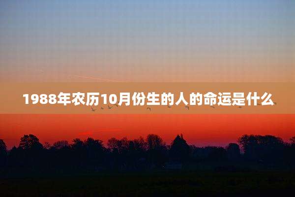 1988年农历10月份生的人的命运是什么