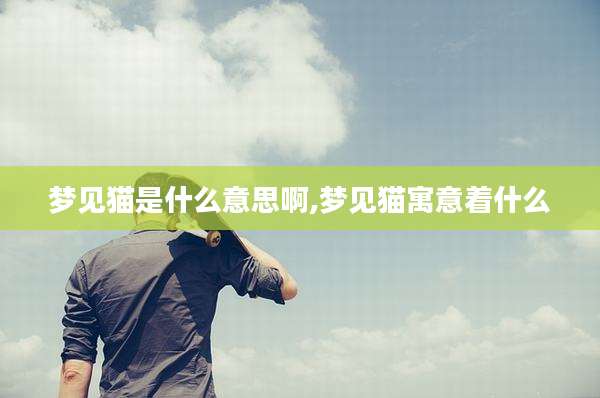 梦见猫是什么意思啊,梦见猫寓意着什么