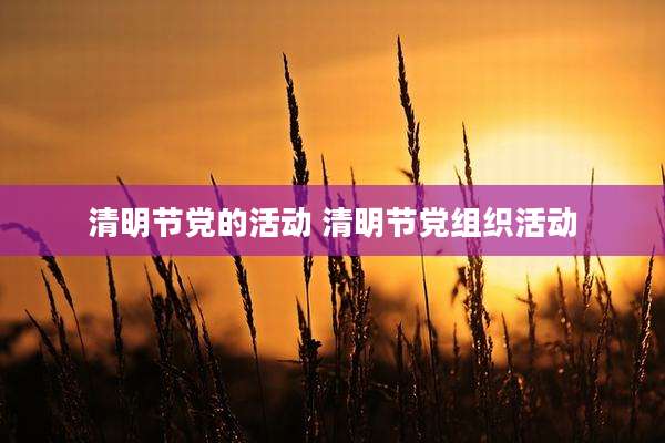 清明节党的活动 清明节党组织活动