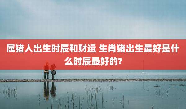 属猪人出生时辰和财运 生肖猪出生最好是什么时辰最好的?