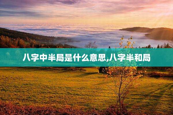 八字中半局是什么意思,八字半和局