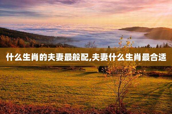 什么生肖的夫妻最般配,夫妻什么生肖最合适