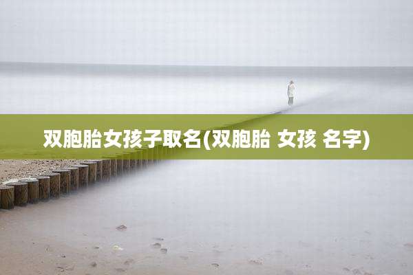 双胞胎女孩子取名(双胞胎 女孩 名字)