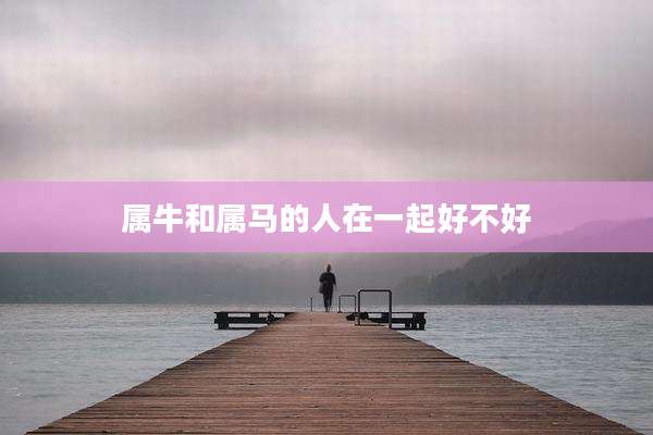 属牛和属马的人在一起好不好