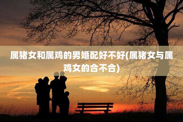 属猪女和属鸡的男婚配好不好(属猪女与属鸡女的合不合)
