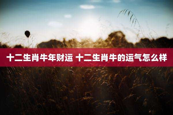 十二生肖牛年财运 十二生肖牛的运气怎么样