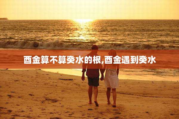 酉金算不算癸水的根,酉金遇到癸水