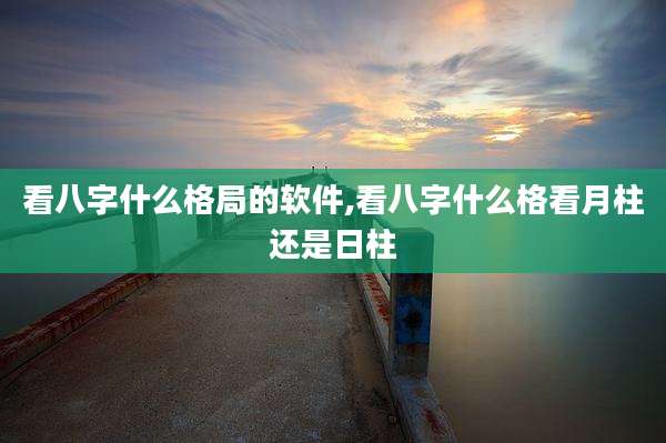 看八字什么格局的软件,看八字什么格看月柱还是日柱