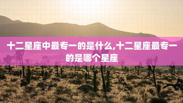 十二星座中最专一的是什么,十二星座最专一的是哪个星座