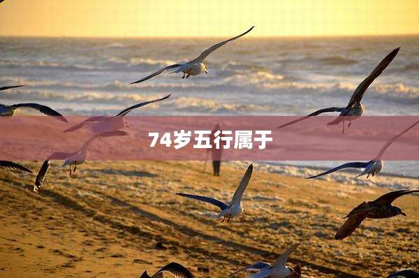 74岁五行属于