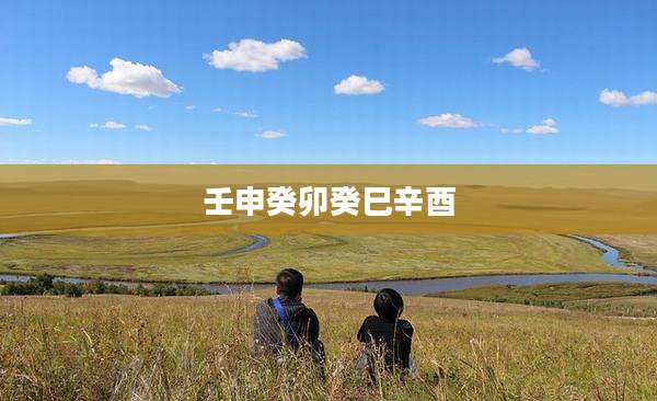 壬申癸卯癸巳辛酉