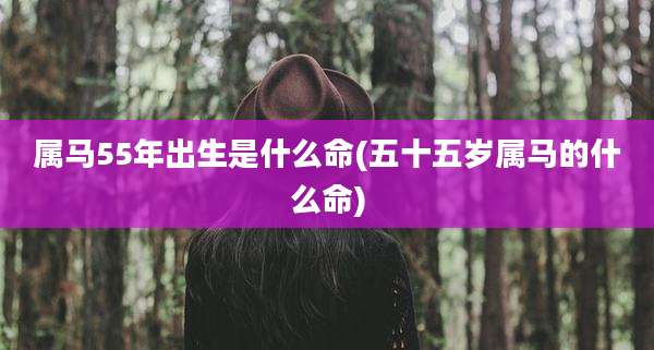 属马55年出生是什么命(五十五岁属马的什么命)
