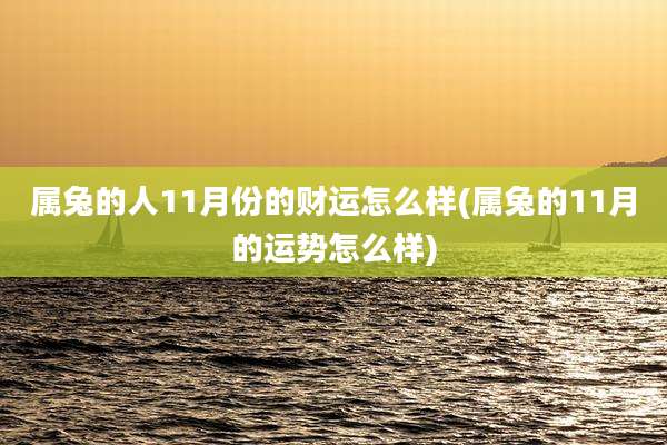 属兔的人11月份的财运怎么样(属兔的11月的运势怎么样)