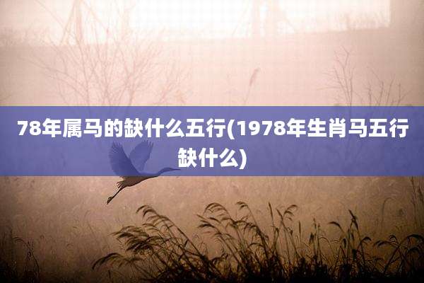 78年属马的缺什么五行(1978年生肖马五行缺什么)