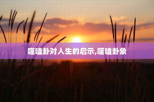 噬嗑卦对人生的启示,噬嗑卦象