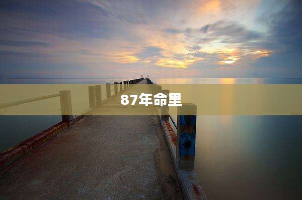 87年命里
