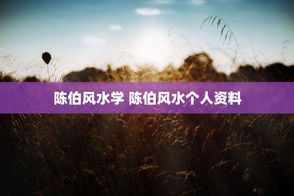 陈伯风水学 陈伯风水个人资料