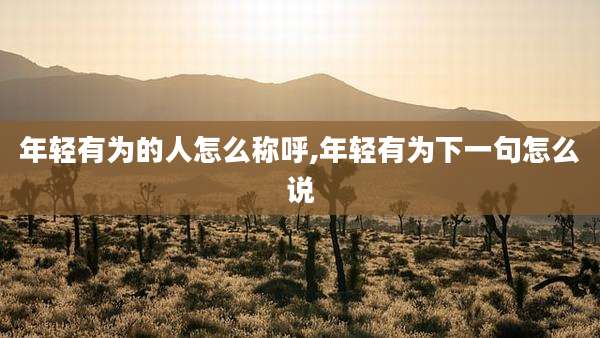 年轻有为的人怎么称呼,年轻有为下一句怎么说