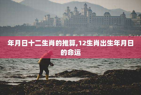 年月日十二生肖的推算,12生肖出生年月日的命运