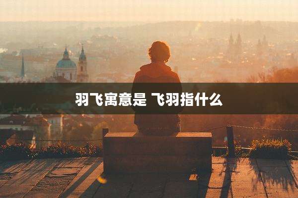 羽飞寓意是 飞羽指什么