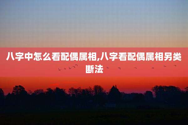 八字中怎么看配偶属相,八字看配偶属相另类断法