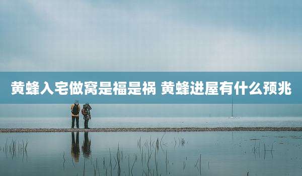 黄蜂入宅做窝是福是祸 黄蜂进屋有什么预兆