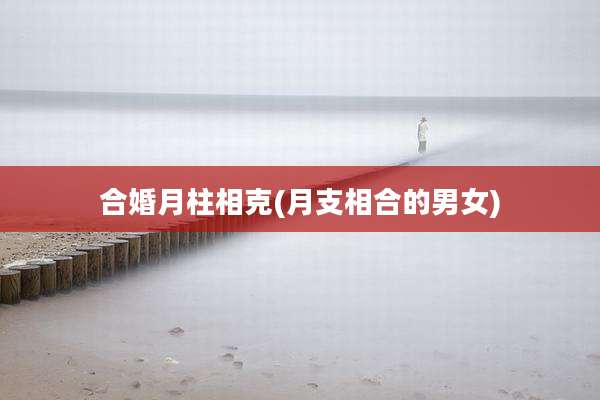 合婚月柱相克(月支相合的男女)