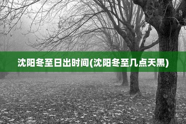 沈阳冬至日出时间(沈阳冬至几点天黑)