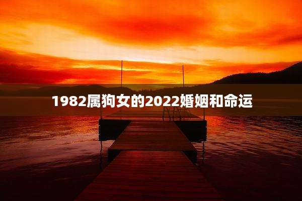 1982属狗女的2022婚姻和命运