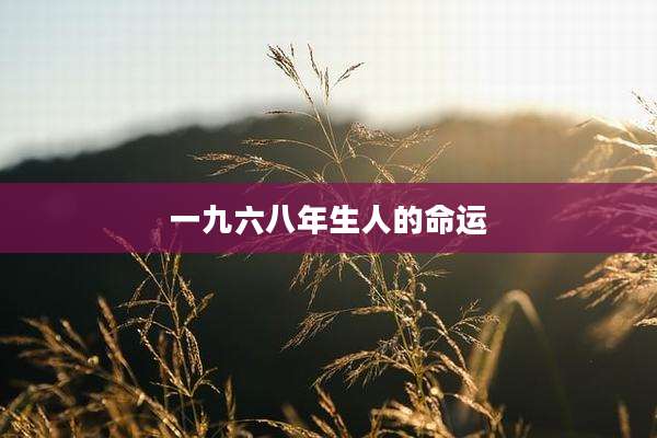 一九六八年生人的命运