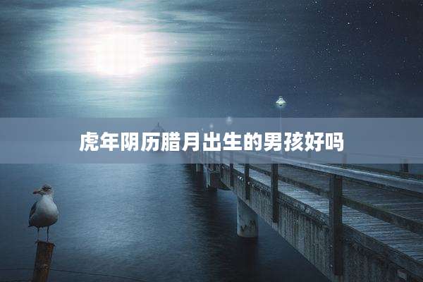 虎年阴历腊月出生的男孩好吗