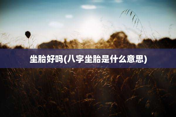 坐胎好吗(八字坐胎是什么意思)