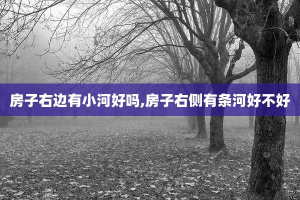 房子右边有小河好吗,房子右侧有条河好不好