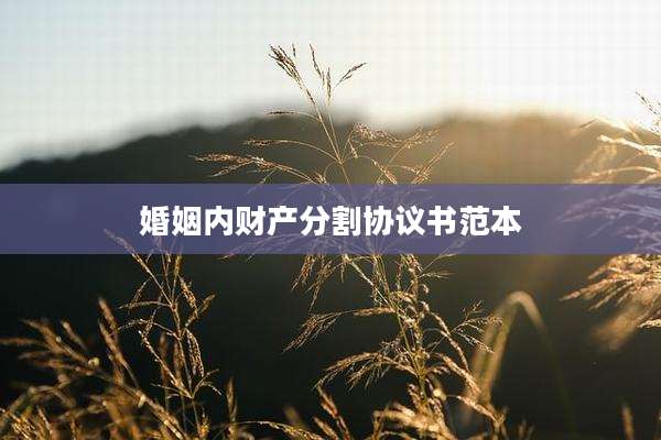 婚姻内财产分割协议书范本