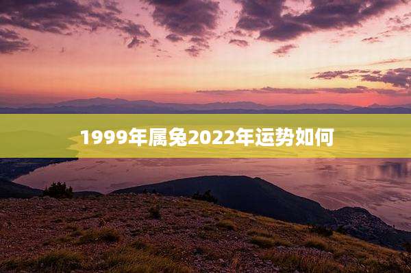 1999年属兔2022年运势如何