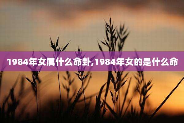 1984年女属什么命卦,1984年女的是什么命