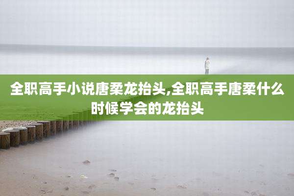 全职高手小说唐柔龙抬头,全职高手唐柔什么时候学会的龙抬头