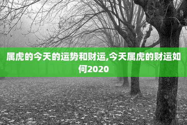 属虎的今天的运势和财运,今天属虎的财运如何2020